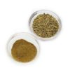 Fennel - ground, 25 gm