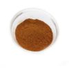 Pumpkin Pie Spice - 25 gm