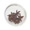 Star Anise - 25 gm